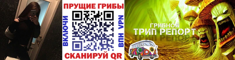 Купить где  Мурино  Галлюциногенные грибы мицелий 